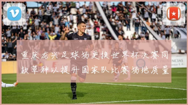 重庆龙兴足球场更换世界杯决赛同款草种以提升国家队比赛场地质量